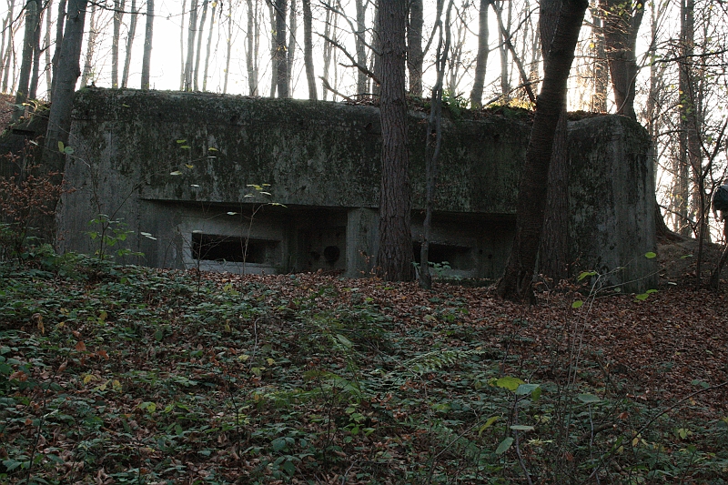 Rostoczek 11.2008 287